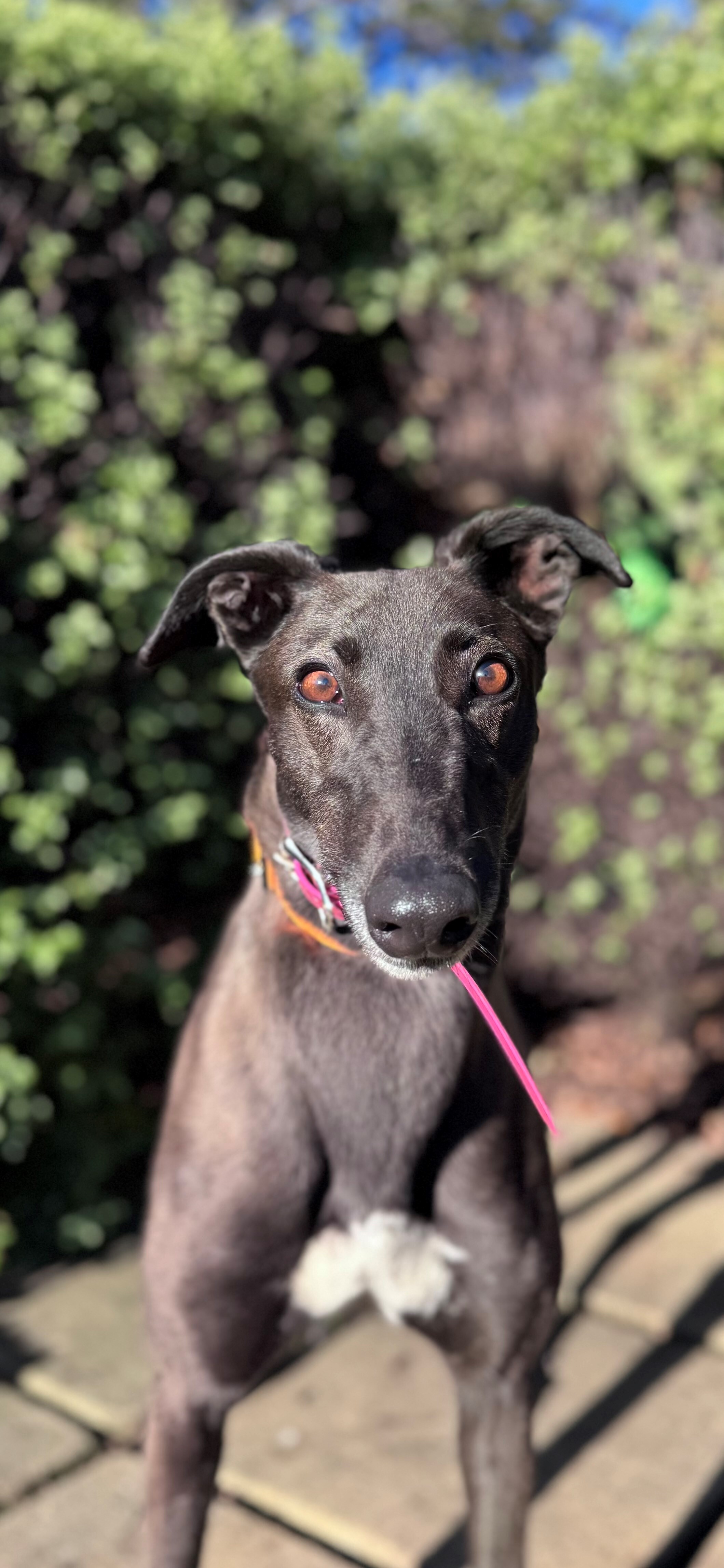 Jill Gallery Image 6