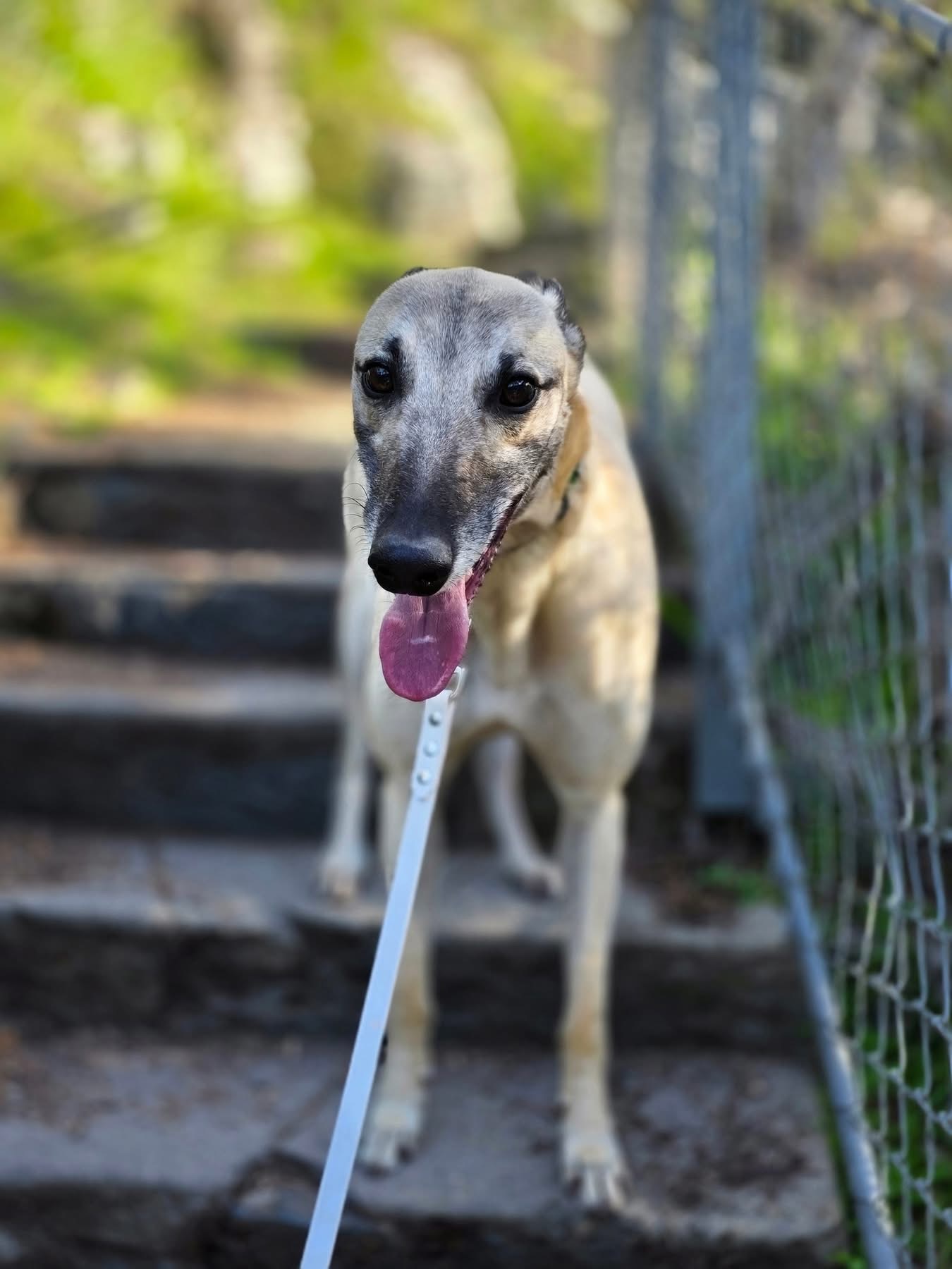 Johnny Gallery Image 3