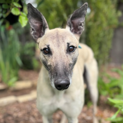 Johnny Gallery Image 8