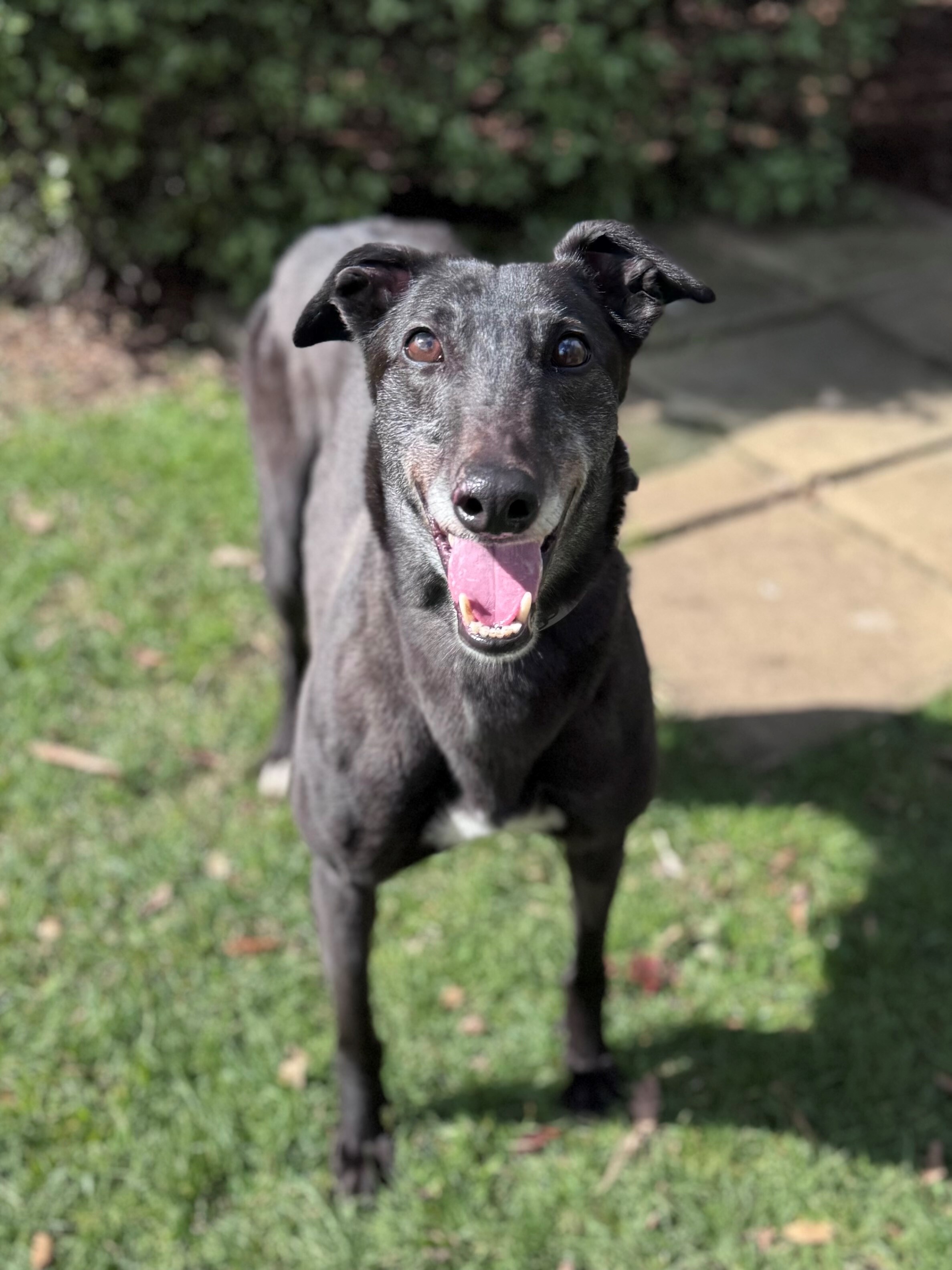 Lindsey Gallery Image 2