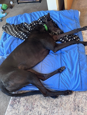 Mary Gallery Image 4