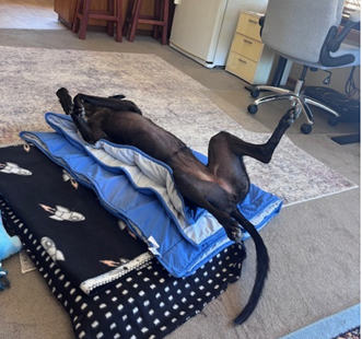 Mary Gallery Image 5