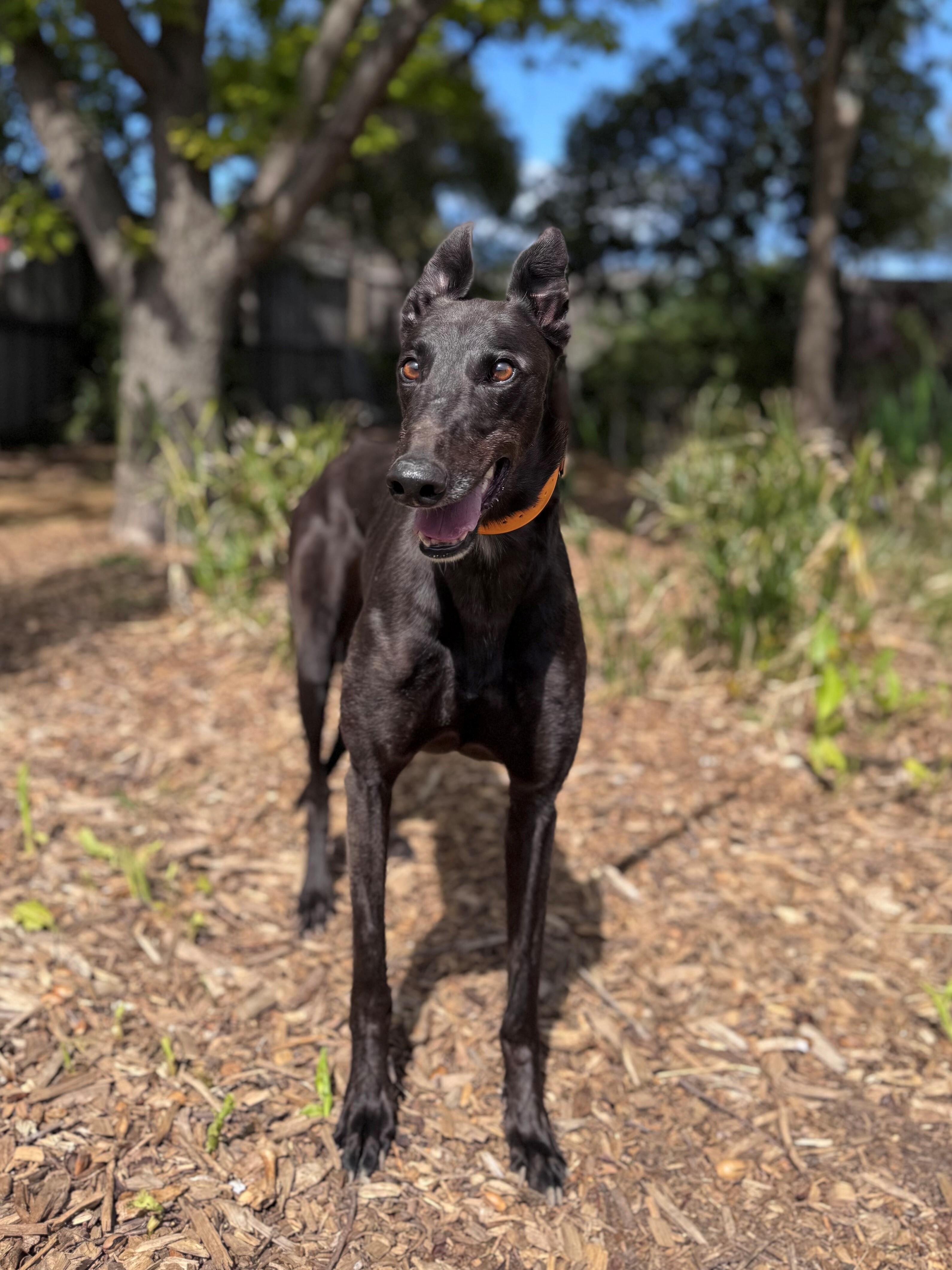 Mary Gallery Image 2