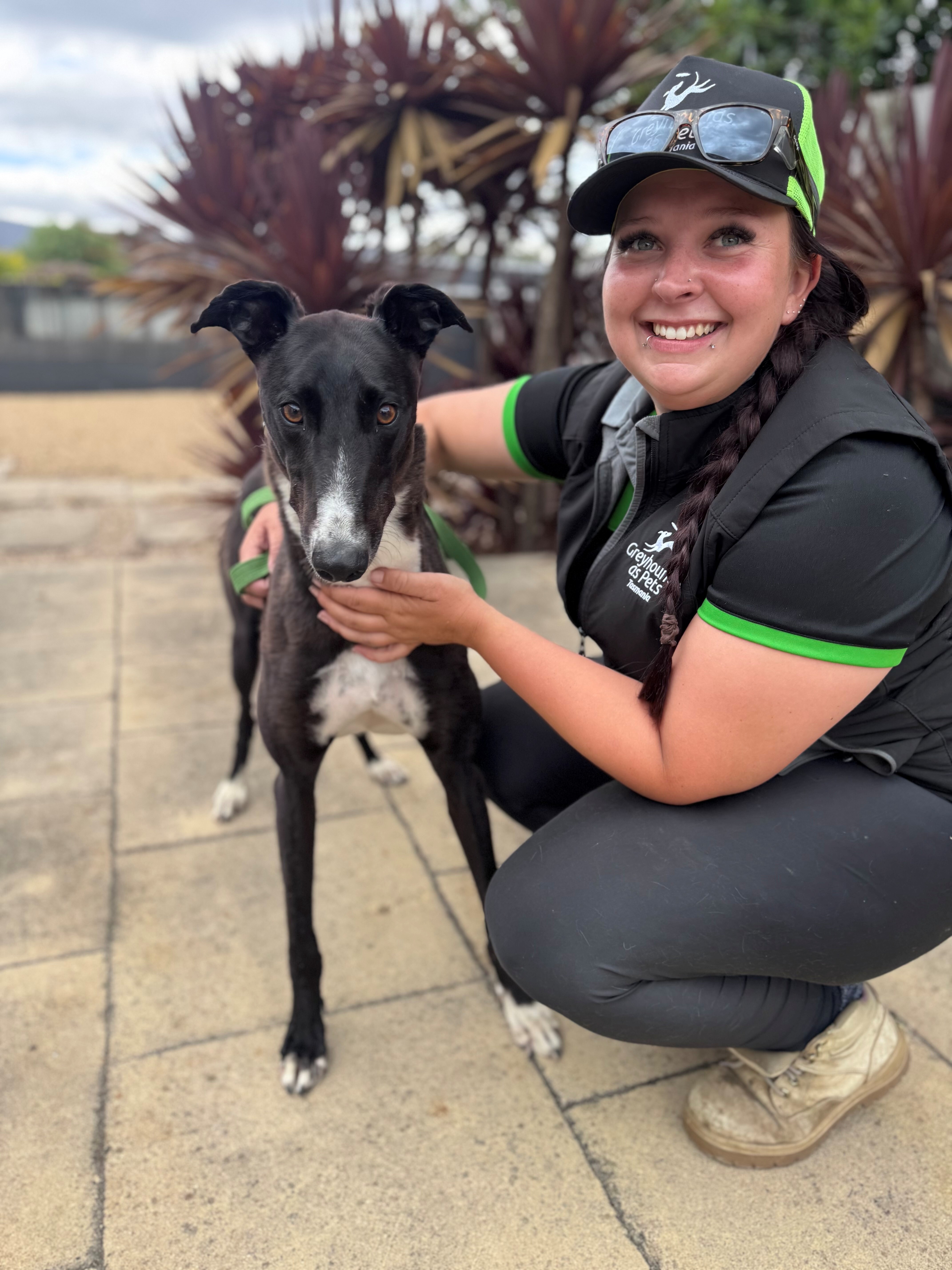 Hilton Gallery Image 3