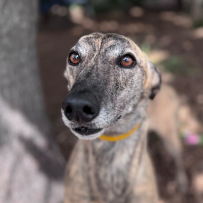 Roxy Gallery Image 3