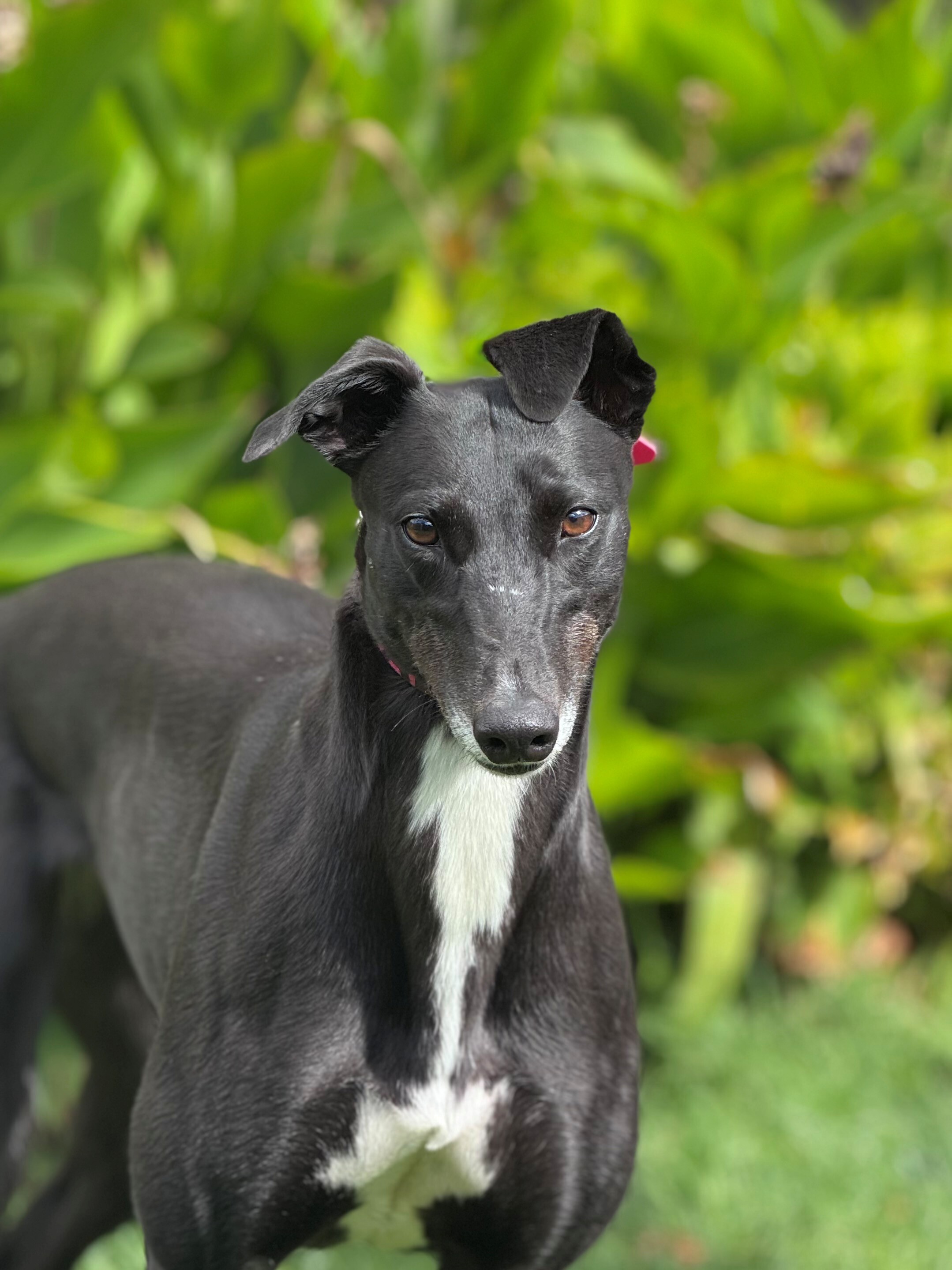 Sally Gallery Image 3