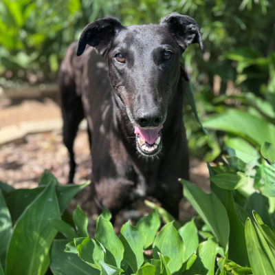 Sally Gallery Image 3