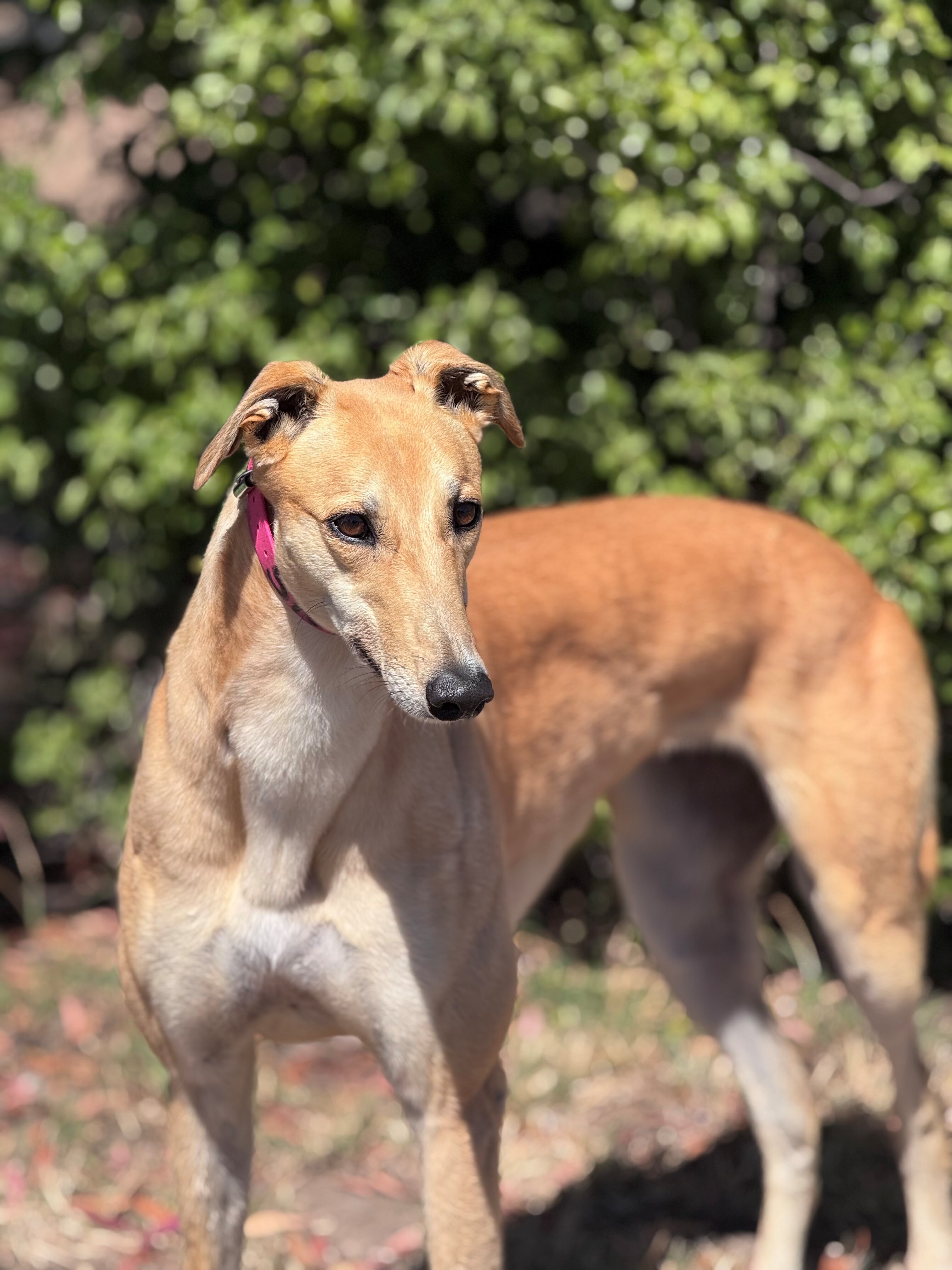 Skye Gallery Image 3