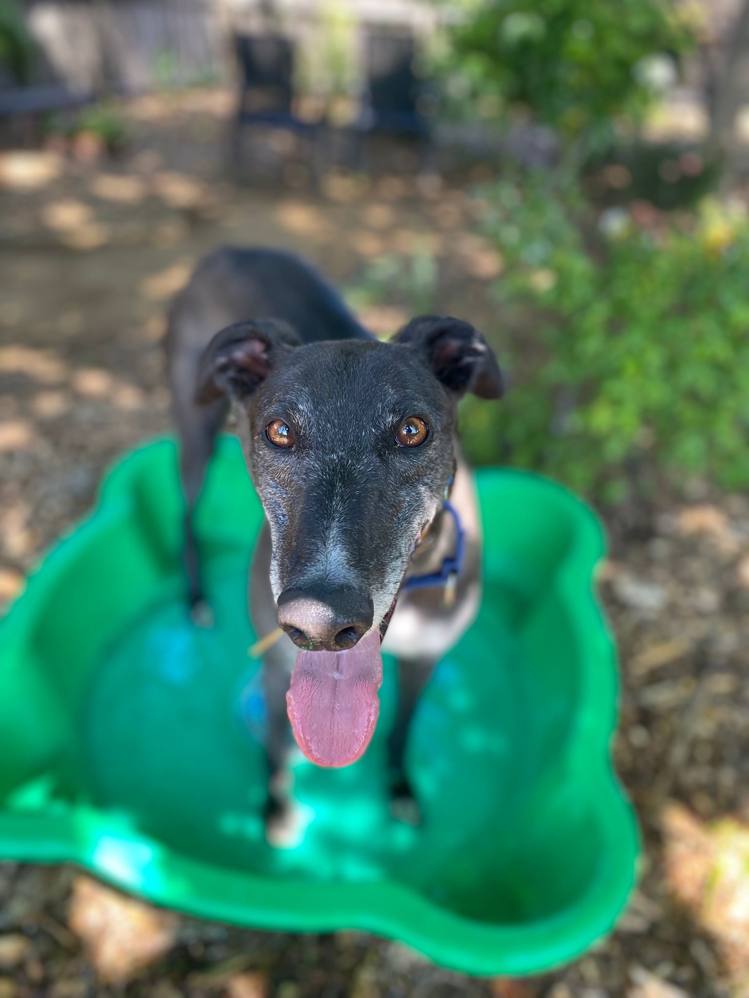 Snip Gallery Image 3