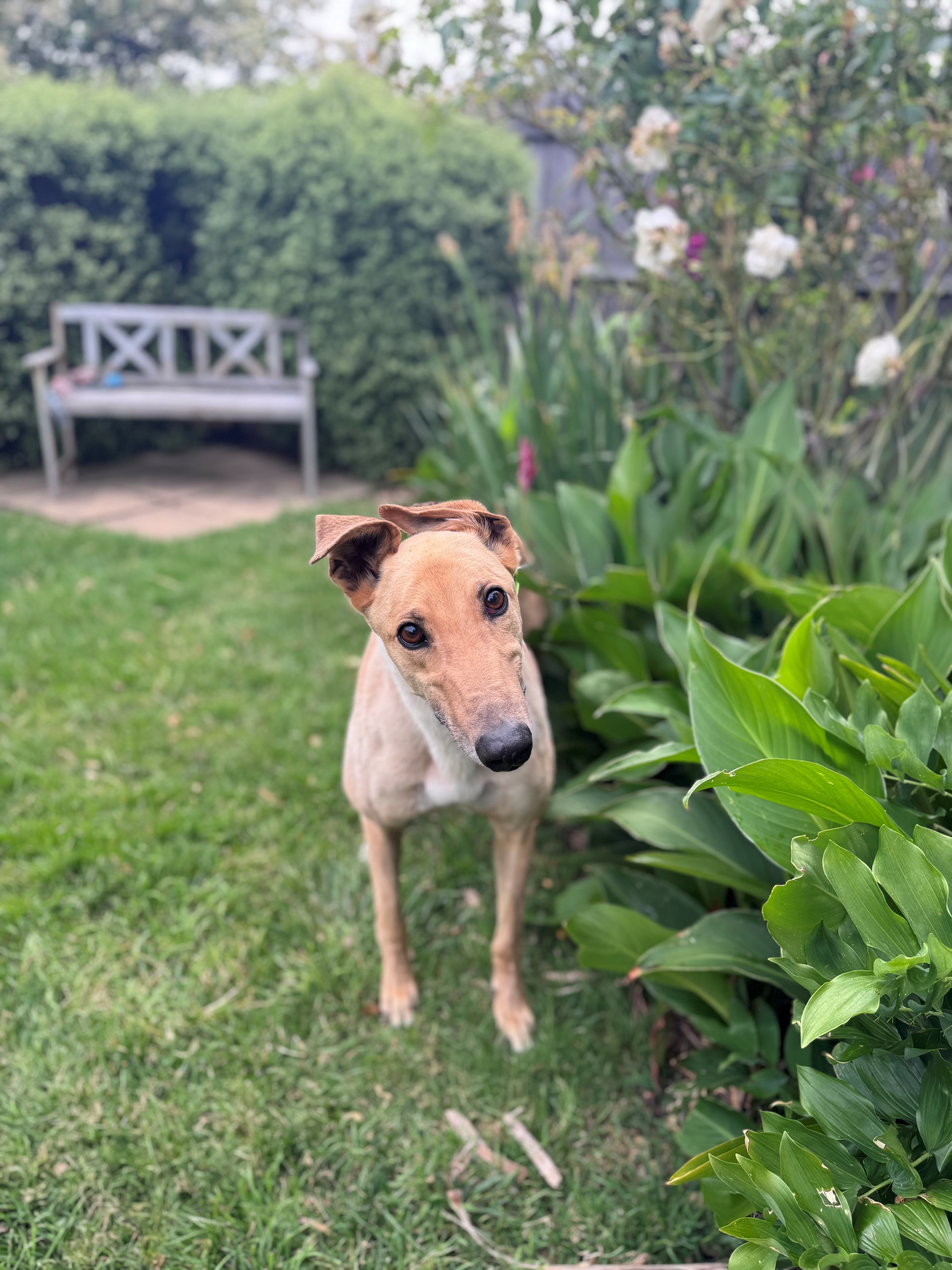 Wilson Gallery Image 2