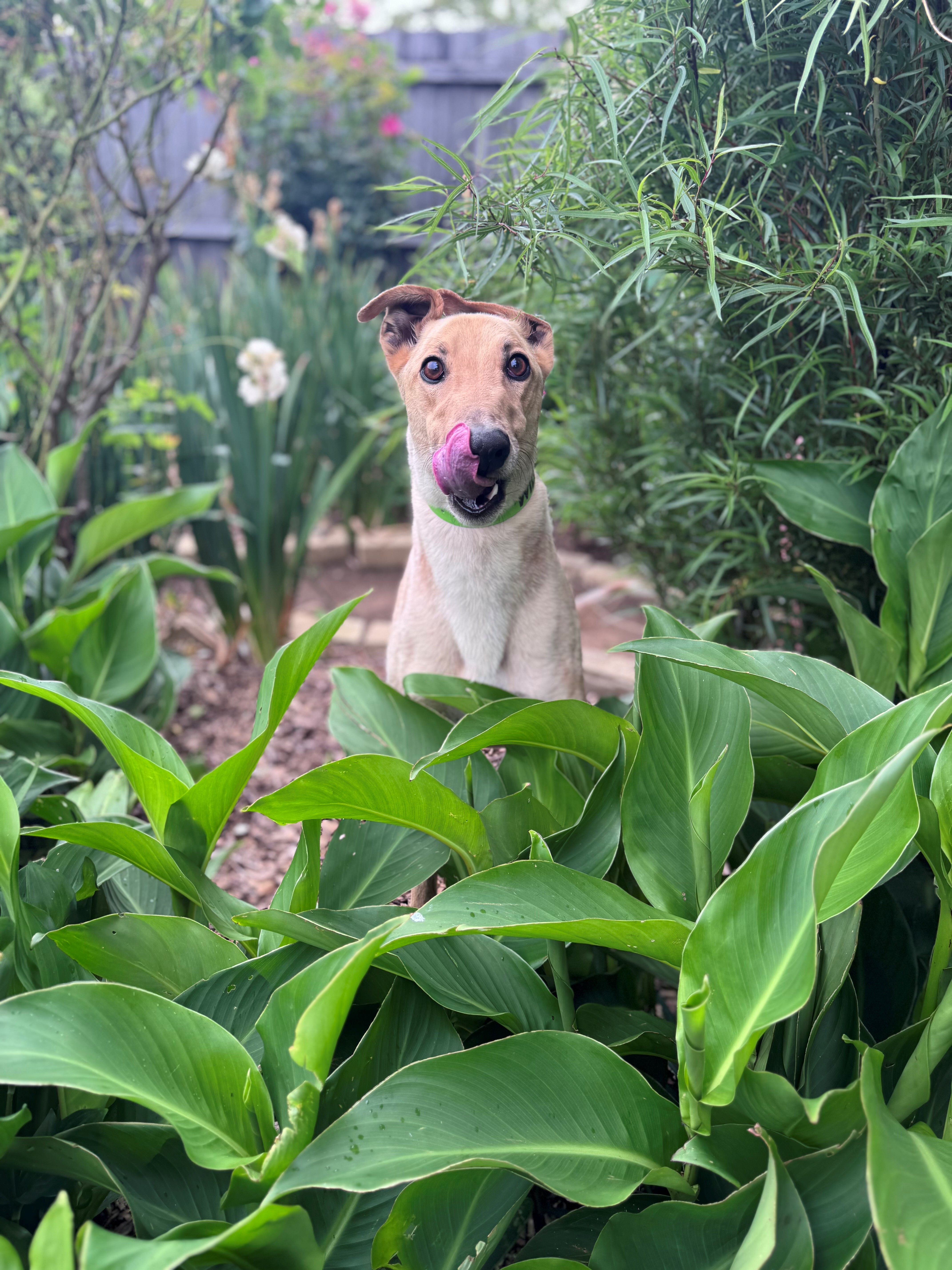 Wilson Gallery Image 3