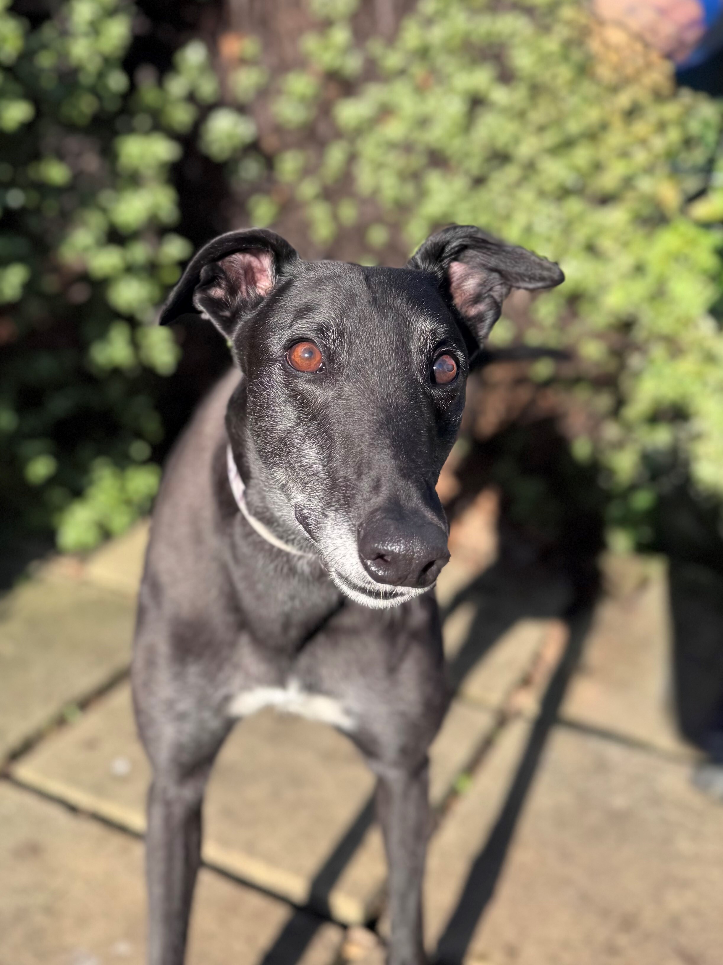 Zion Gallery Image 2