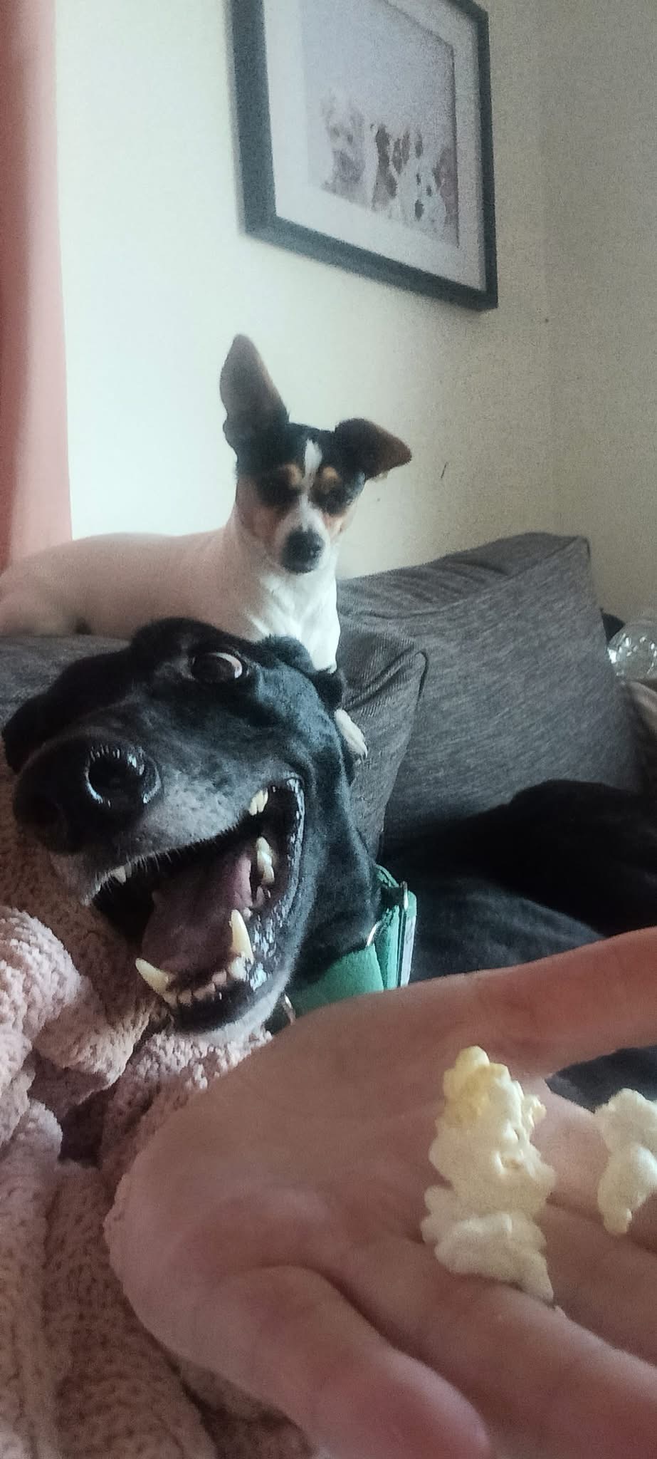 Danger Gallery Image 2