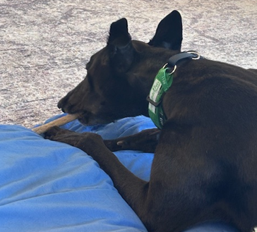 Mary Gallery Image 6