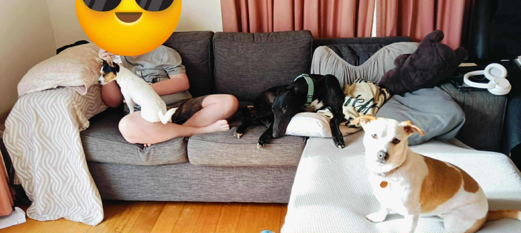 Remus Gallery Image 3