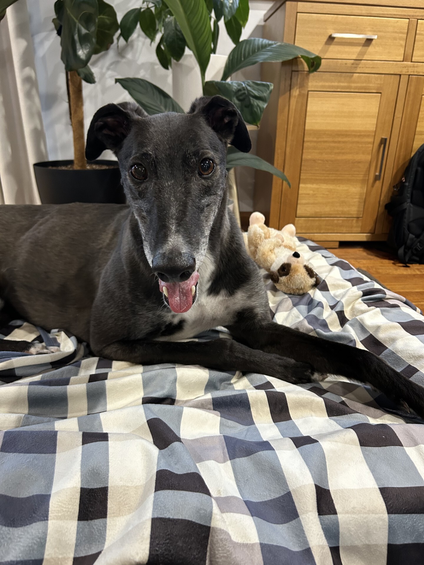 Snip Gallery Image 4