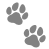Paw Icon