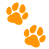 Paw Icon